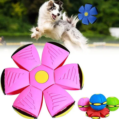 Jack Ball - Frisbee Bal voor honden